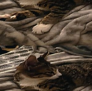 Meet your Posher, 《miya_